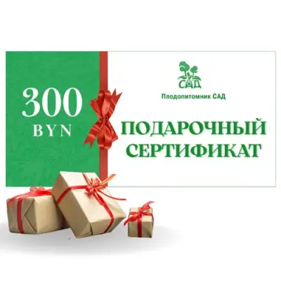 Подарочный сертификат на 300 BYN в Россоши
