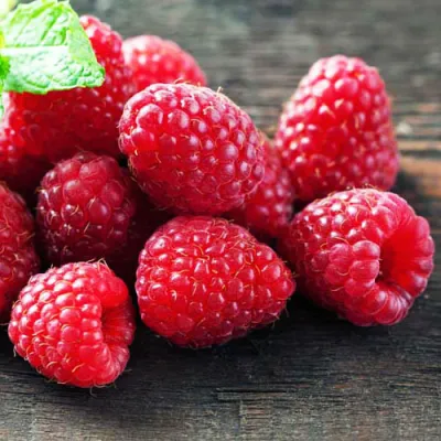 Малина ЭРИКА в Россоши