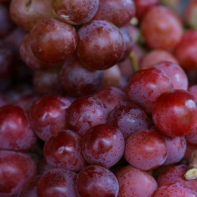 Красный в Россоши